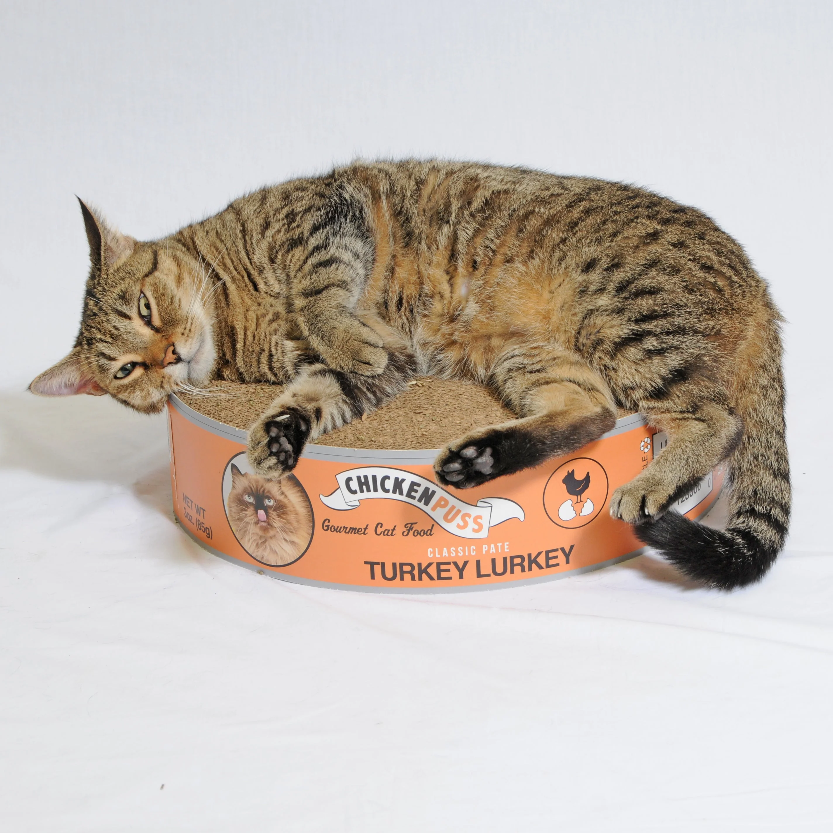 2 Pack - The Endless Buffet Scratch Pad by Square Paws - Image 4