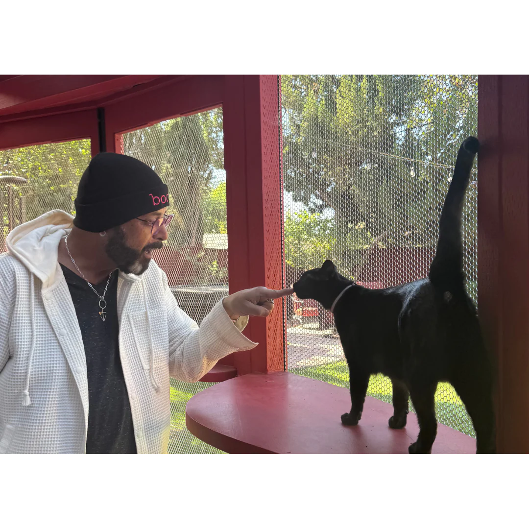 boop Beanie - Jackson Galaxy - Image 4