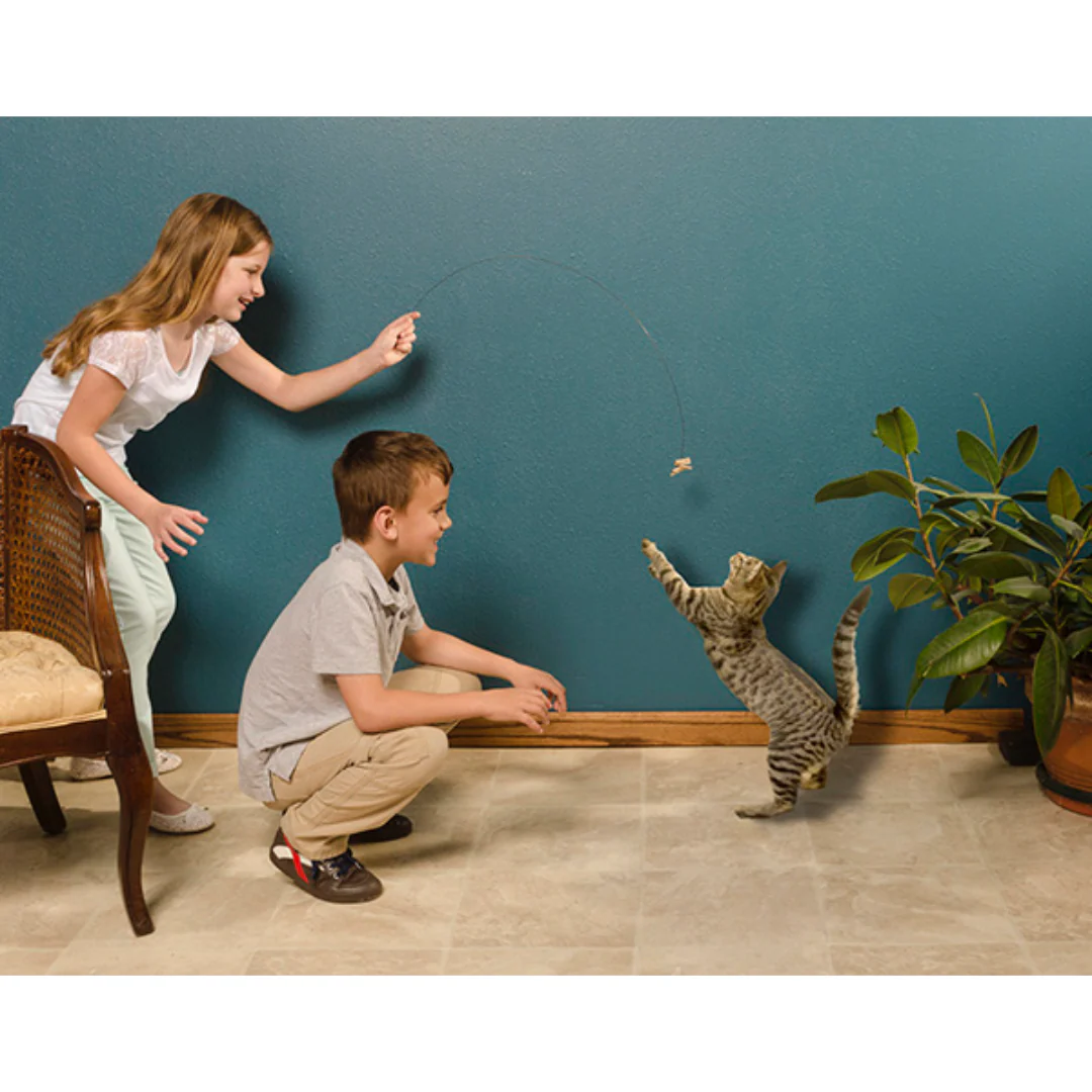Cat Dancer - Image 2