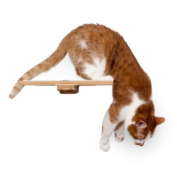 Cat Perch (Shelf) for Wall by Catastrophic Creations - Image 2