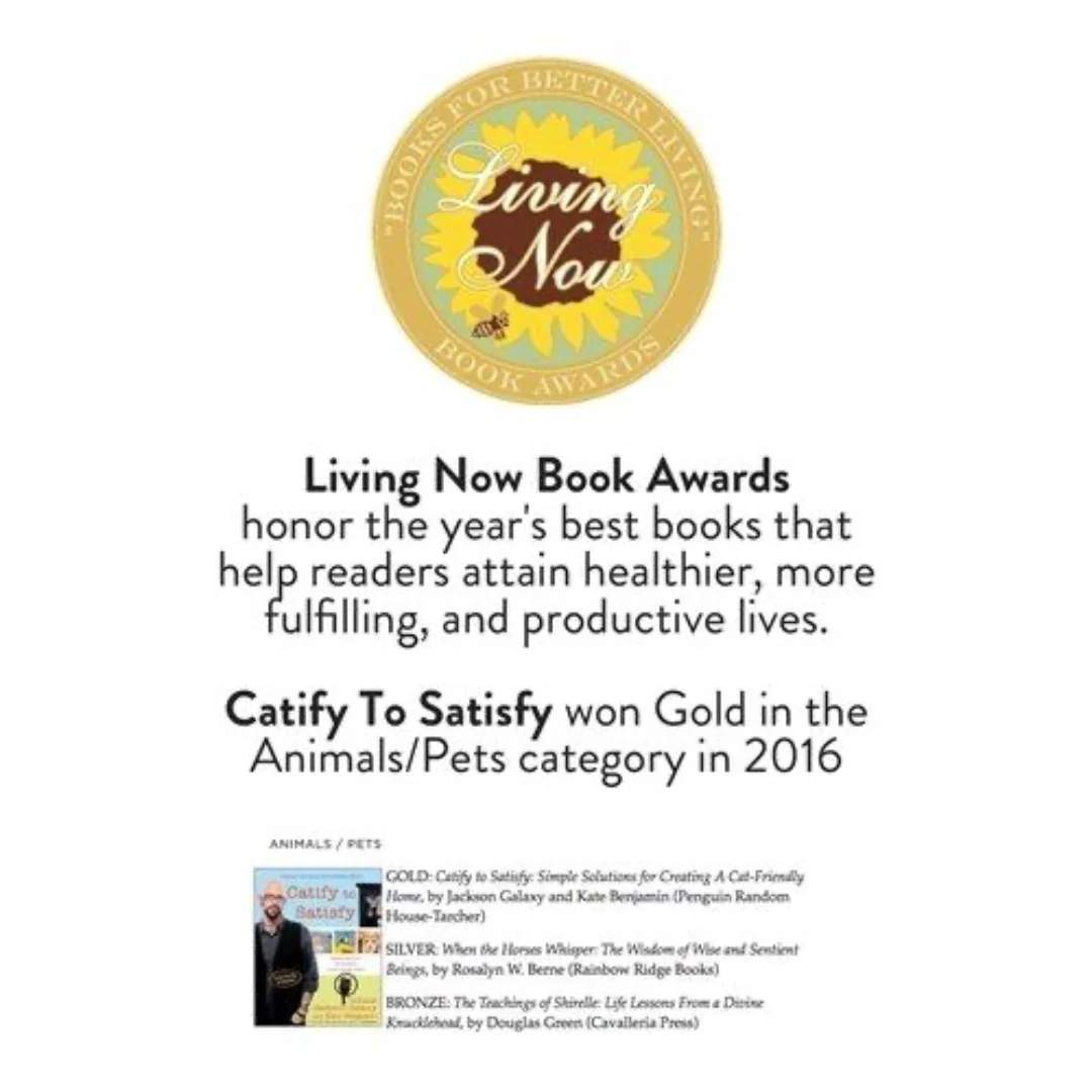 Catify To Satisfy: Simple Solutions for Creating a Cat-Friendly Home - Image 3
