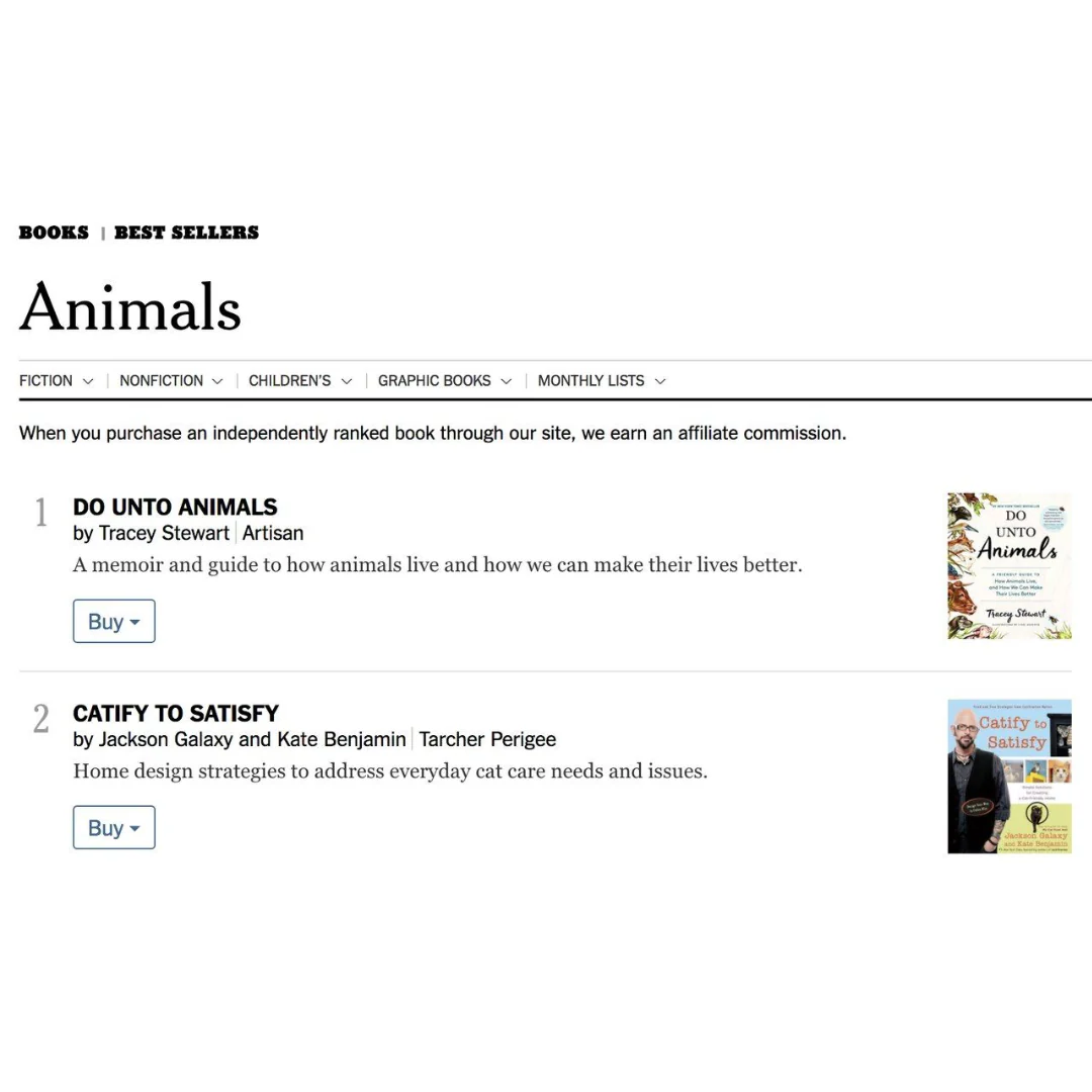 Catify To Satisfy: Simple Solutions for Creating a Cat-Friendly Home - Image 4