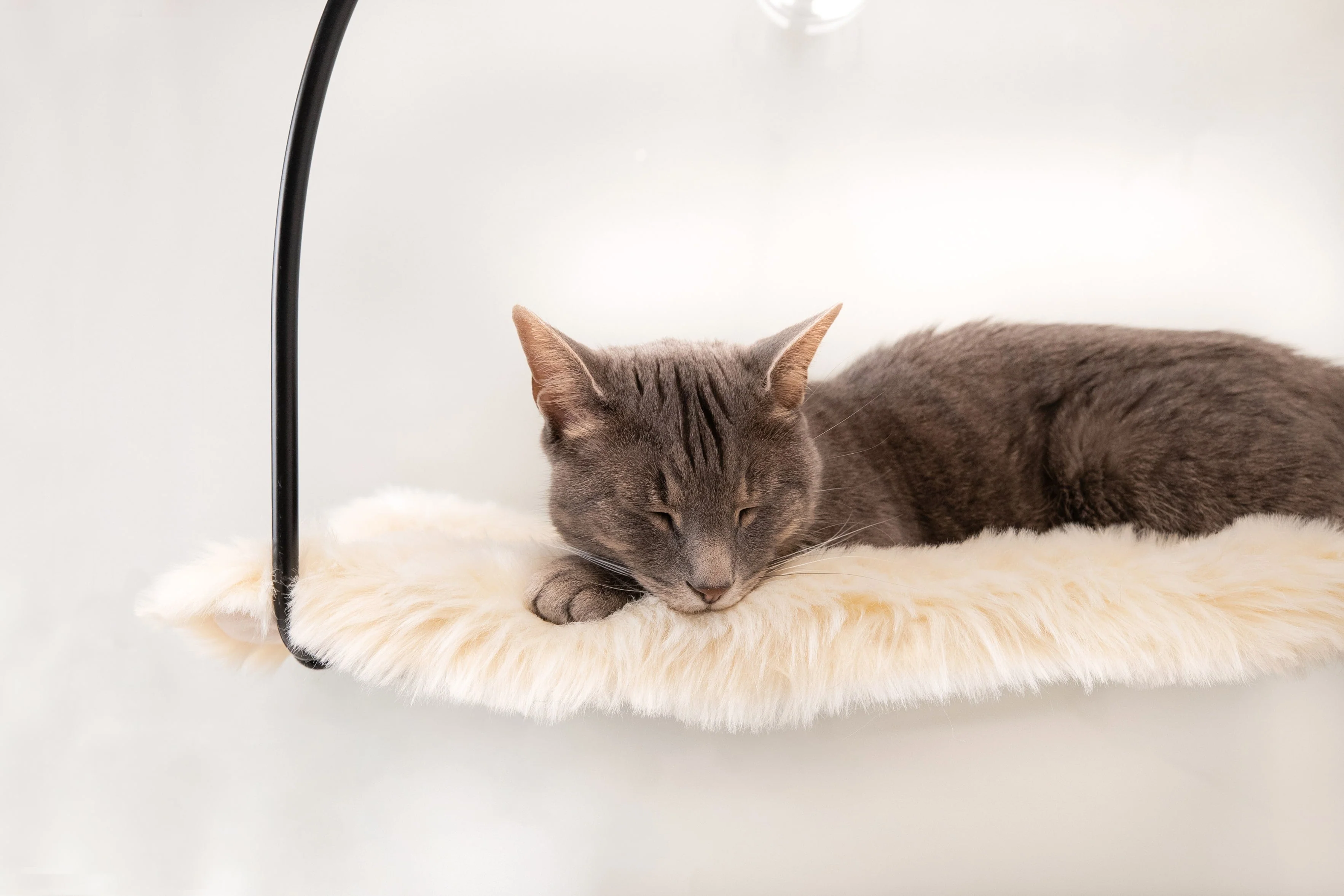 Cloud Nine Window Hammock - Image 5