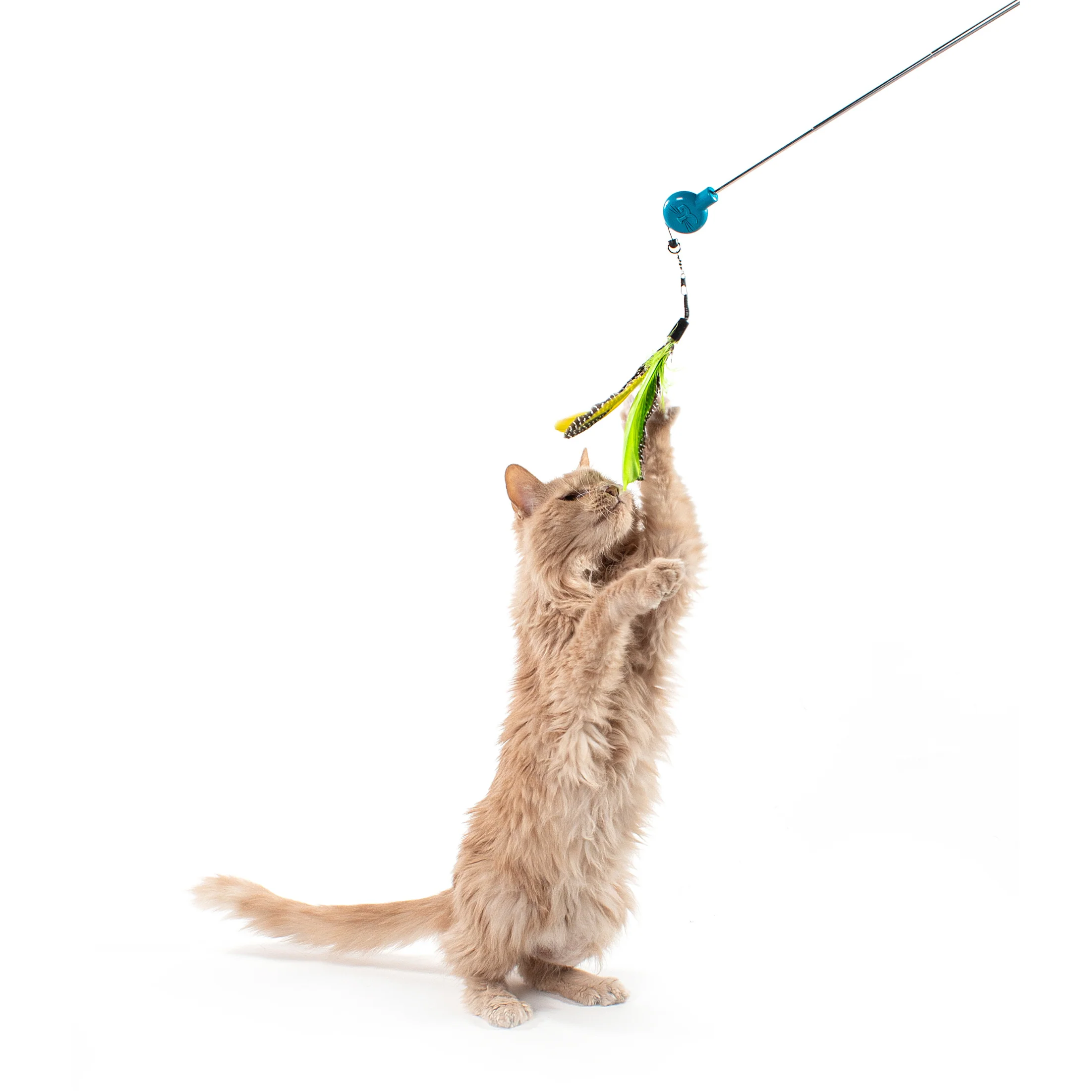 Gotcha! Cat Wand Toy - Image 11
