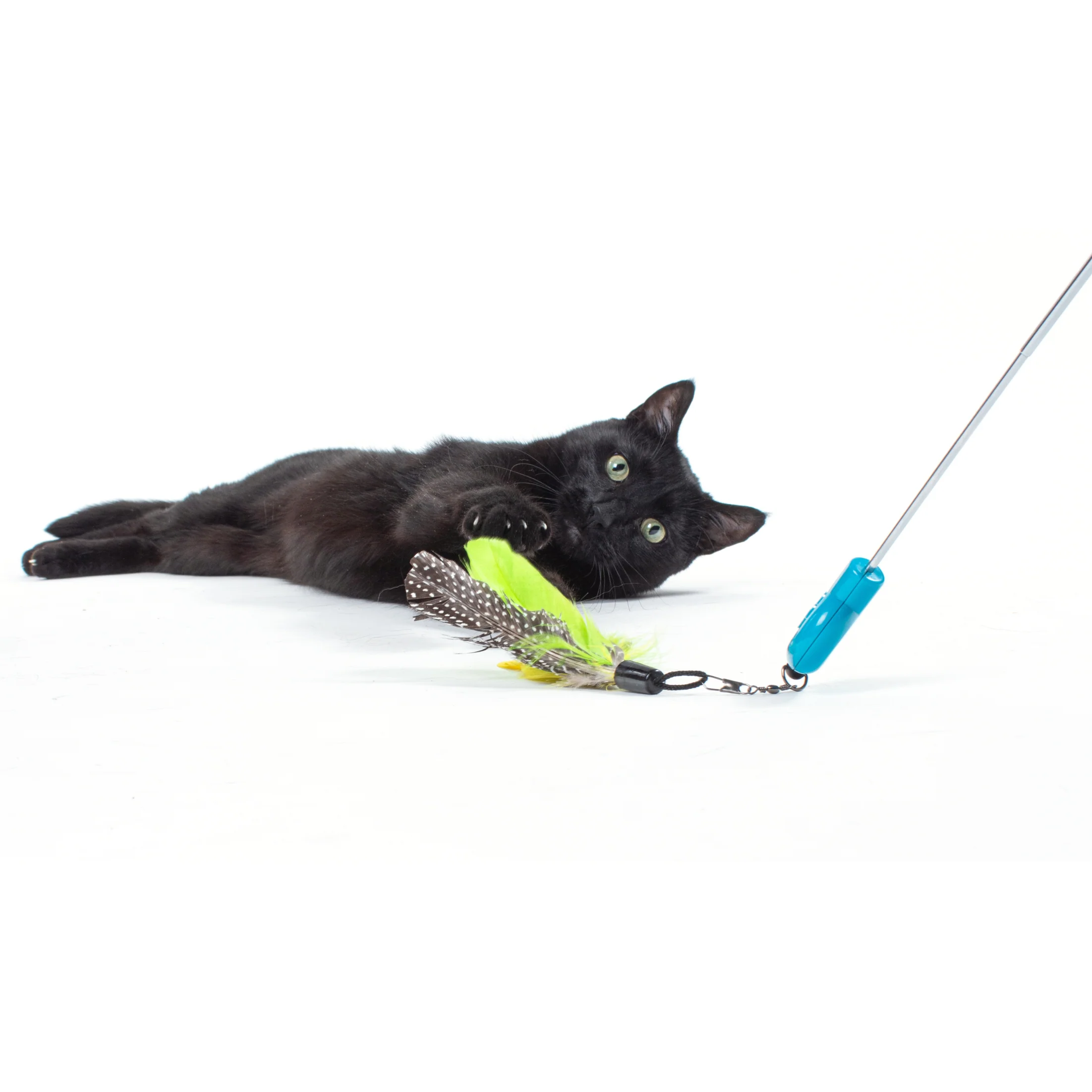 Gotcha! Feather Wand Toy Attachment - Image 6