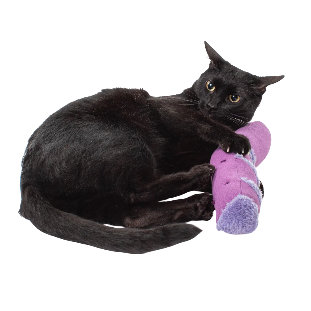 Hunt, Catch, Kill, Eat, Groom, Sleep Bundle - Image 11