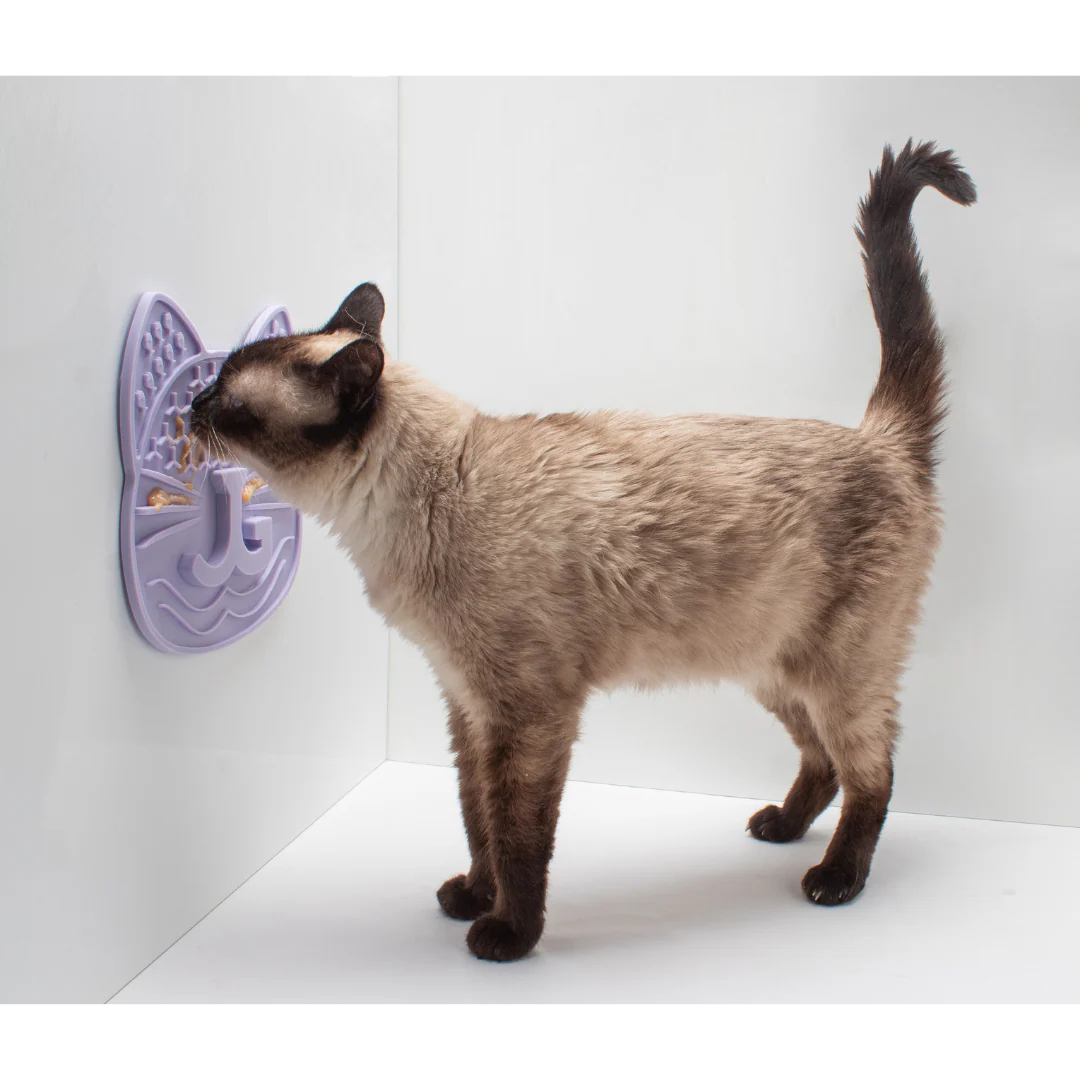 Hunt, Catch, Kill, Eat, Groom, Sleep Bundle - Image 8