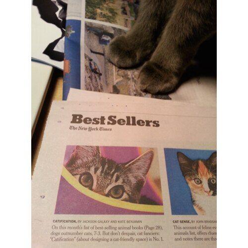 The Jackson Galaxy Book Bundle - Image 8