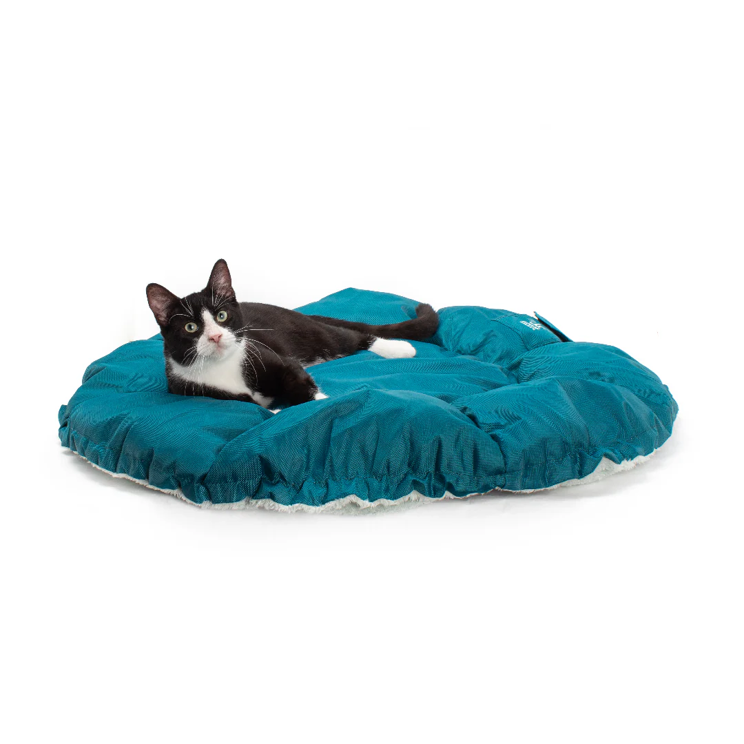 Convertible Clamshell Cat Bed - Image 7