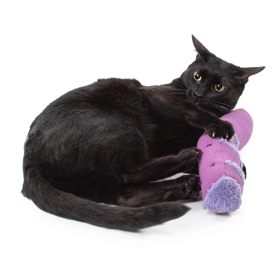 Kangaroo Kicker by Jackson Galaxy - Image 5