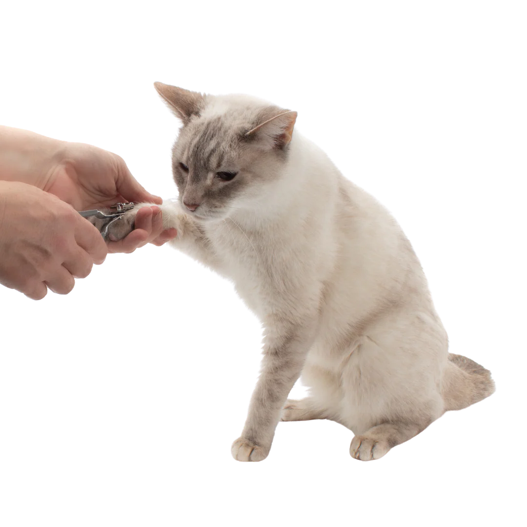 Nail Grooming Bundle for Cats - Image 2