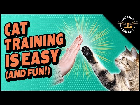 Pawsitive Reinforcement Training Clicker - Image 5
