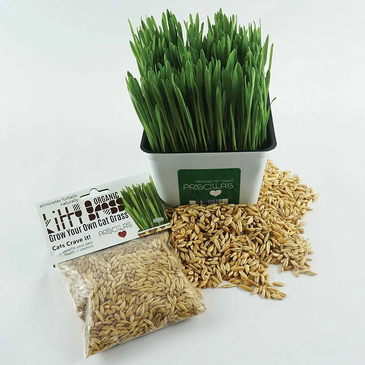 Cat Grass Seed Pack 3x (3 oz total) by Three Farms - Image 3