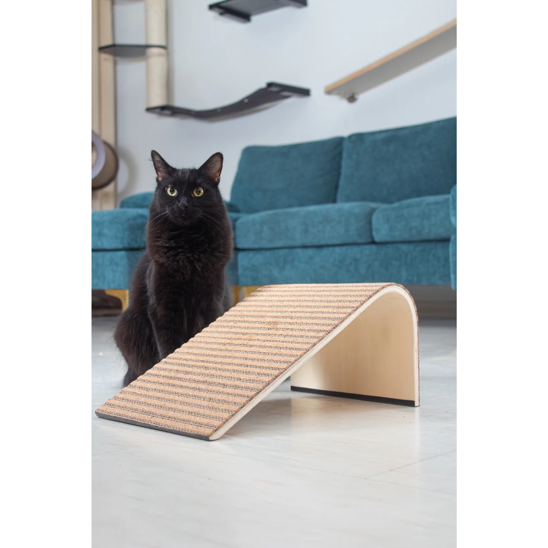 Scratchify! Incline Scratcher by Jackson Galaxy - Image 13