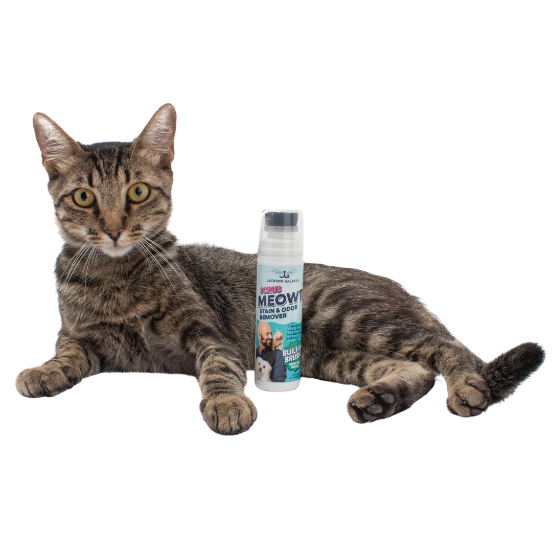 Scrub Meowt! Stain & Odor Remover - Image 3