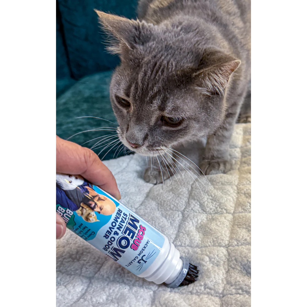 Scrub Meowt! Stain & Odor Remover - Image 7