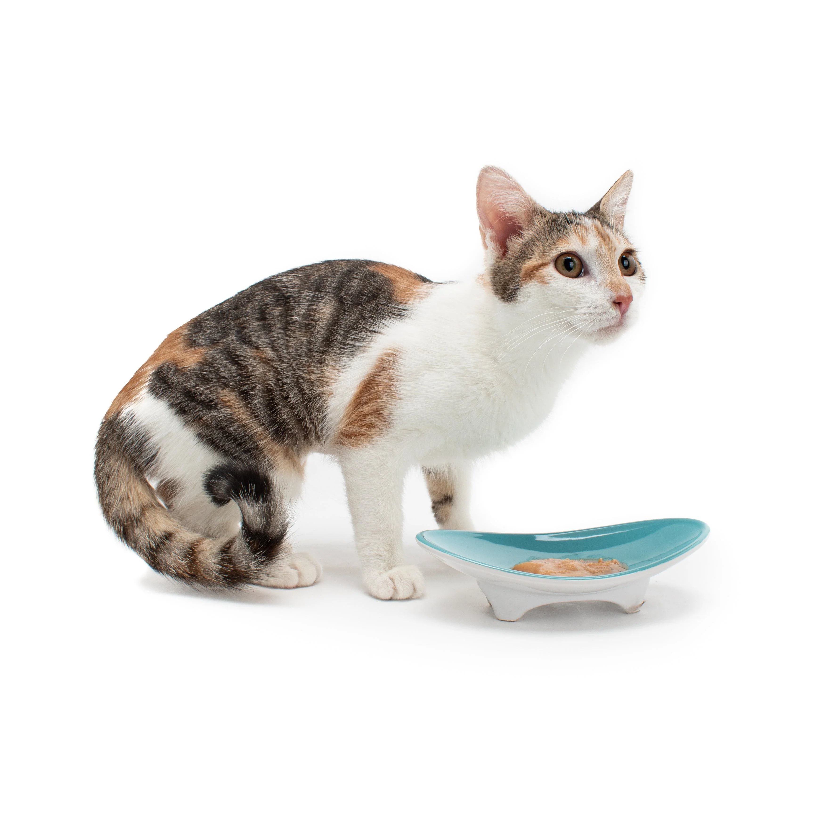 Whiskerware Ceramic Oval Bowl - Image 8